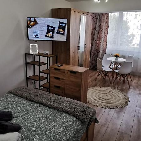 Ana Studio Lägenhet Târgu-Mureş Exteriör bild