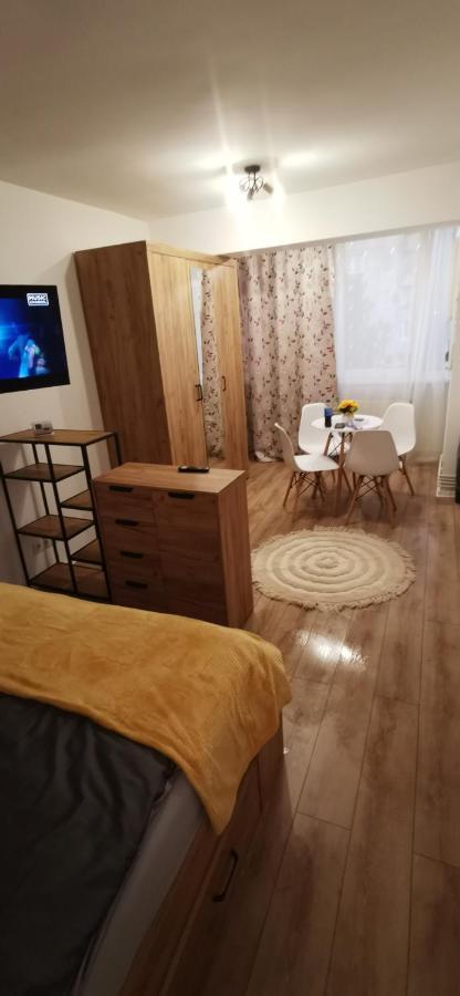 Ana Studio Lägenhet Târgu-Mureş Exteriör bild